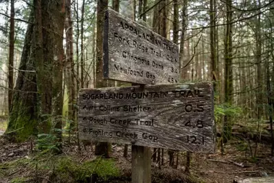 Appalachian Trail in the Smoky Moutains