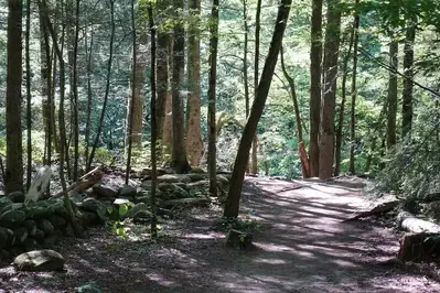 gatlinburg trail