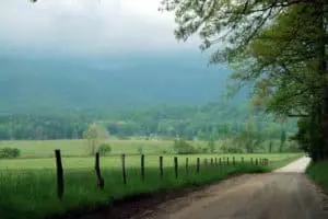 cades-cove-loop-7.25.53-AM-e1570200515471-300x200[1]