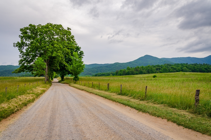 Cades Cove Loop Road