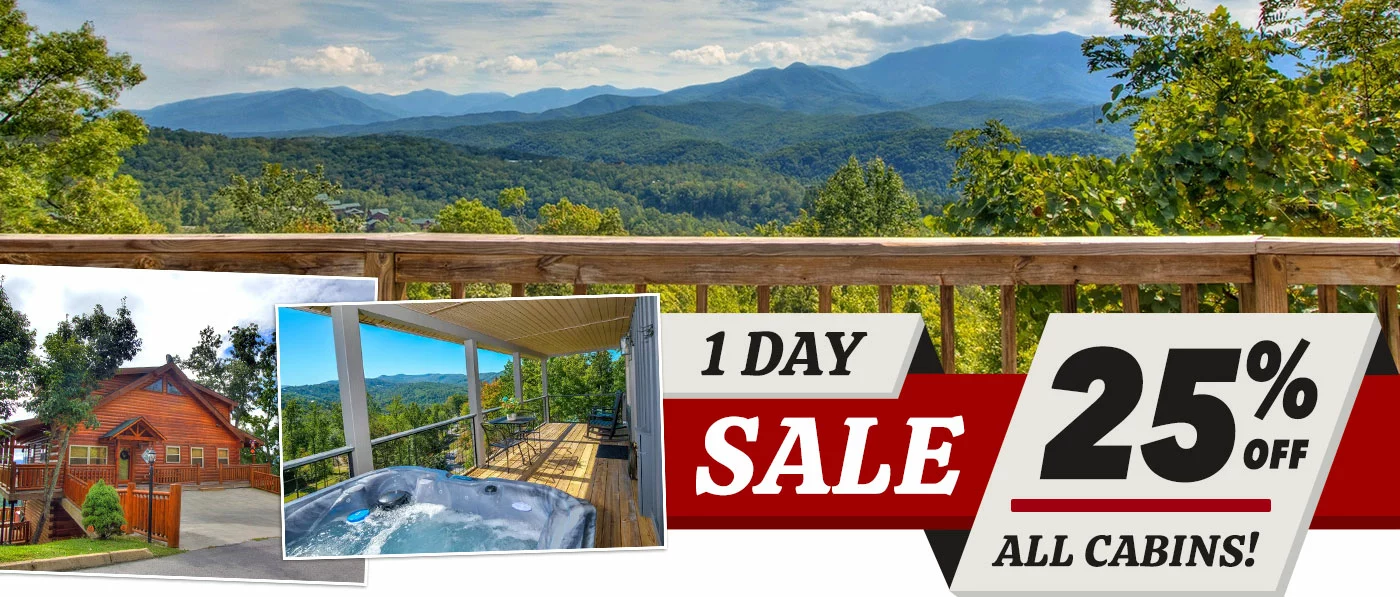 1-day-sale-2025