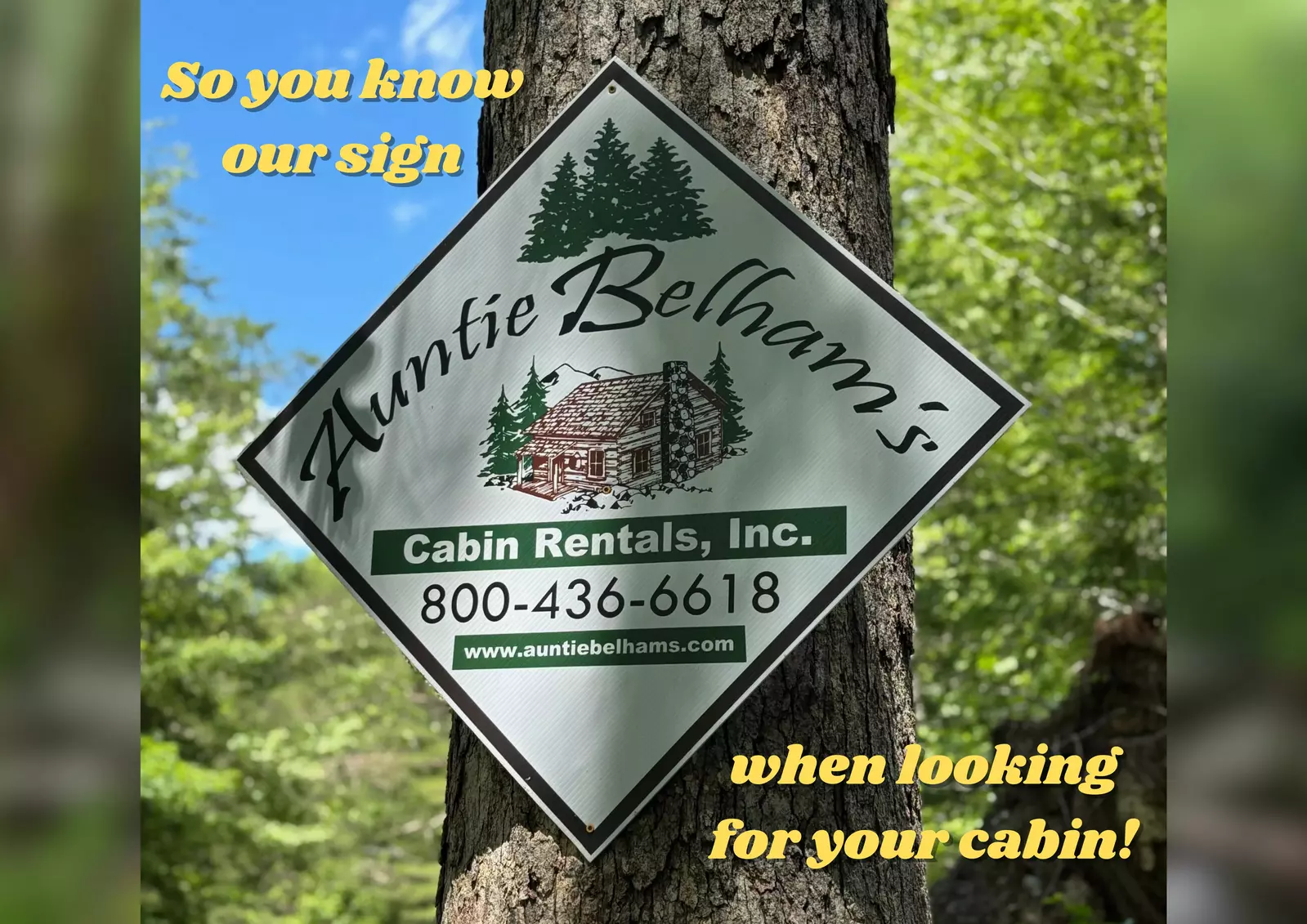 SILVER MAPLE CHALET