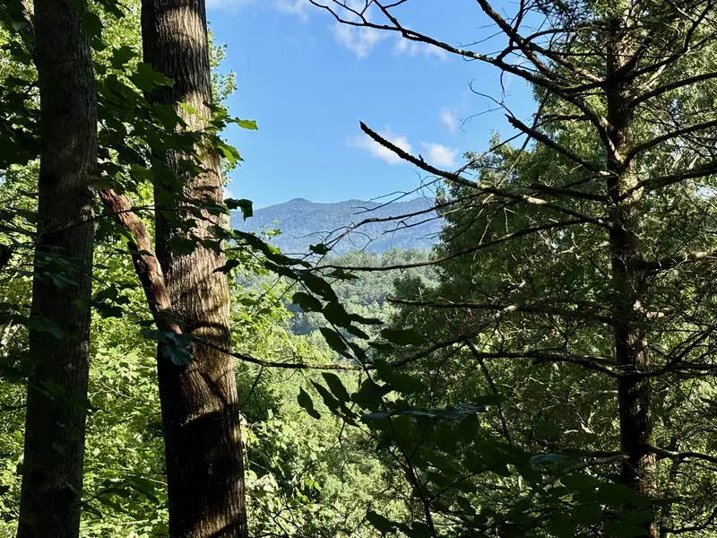 A PIECE OF PARADISE
