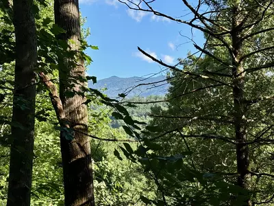 A PIECE OF PARADISE