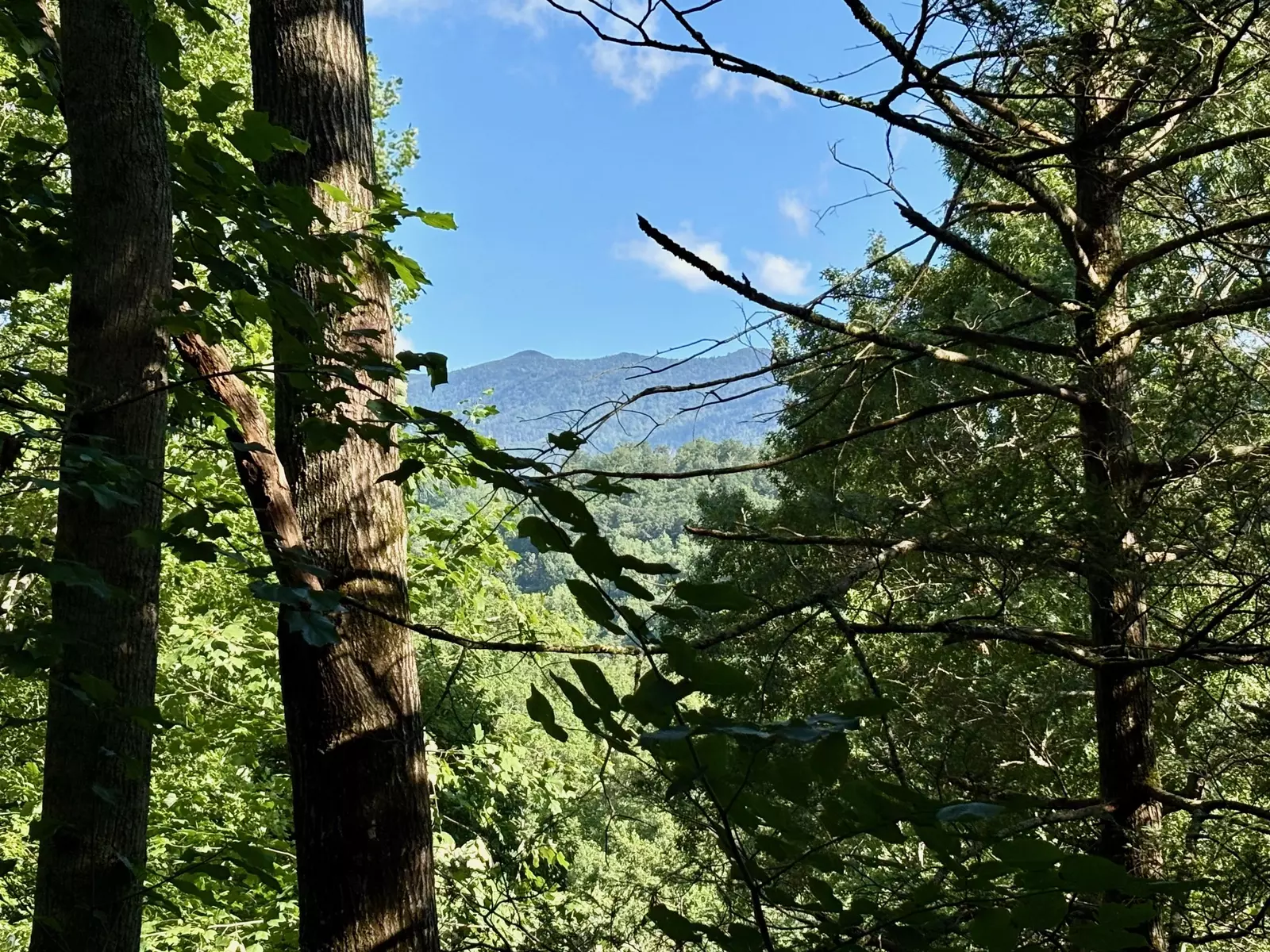 A PIECE OF PARADISE