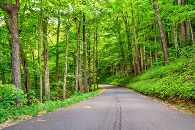 roaring fork motor nature trail is one of the best free things to do in gatlinburg tn