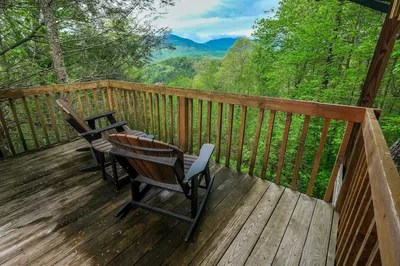 staying in one of our cabins visiting patriot park is one of the pet friendly things to do in pigeon forge