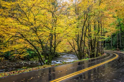 little river road is one of the most scenic drives in the Smoky Mountains