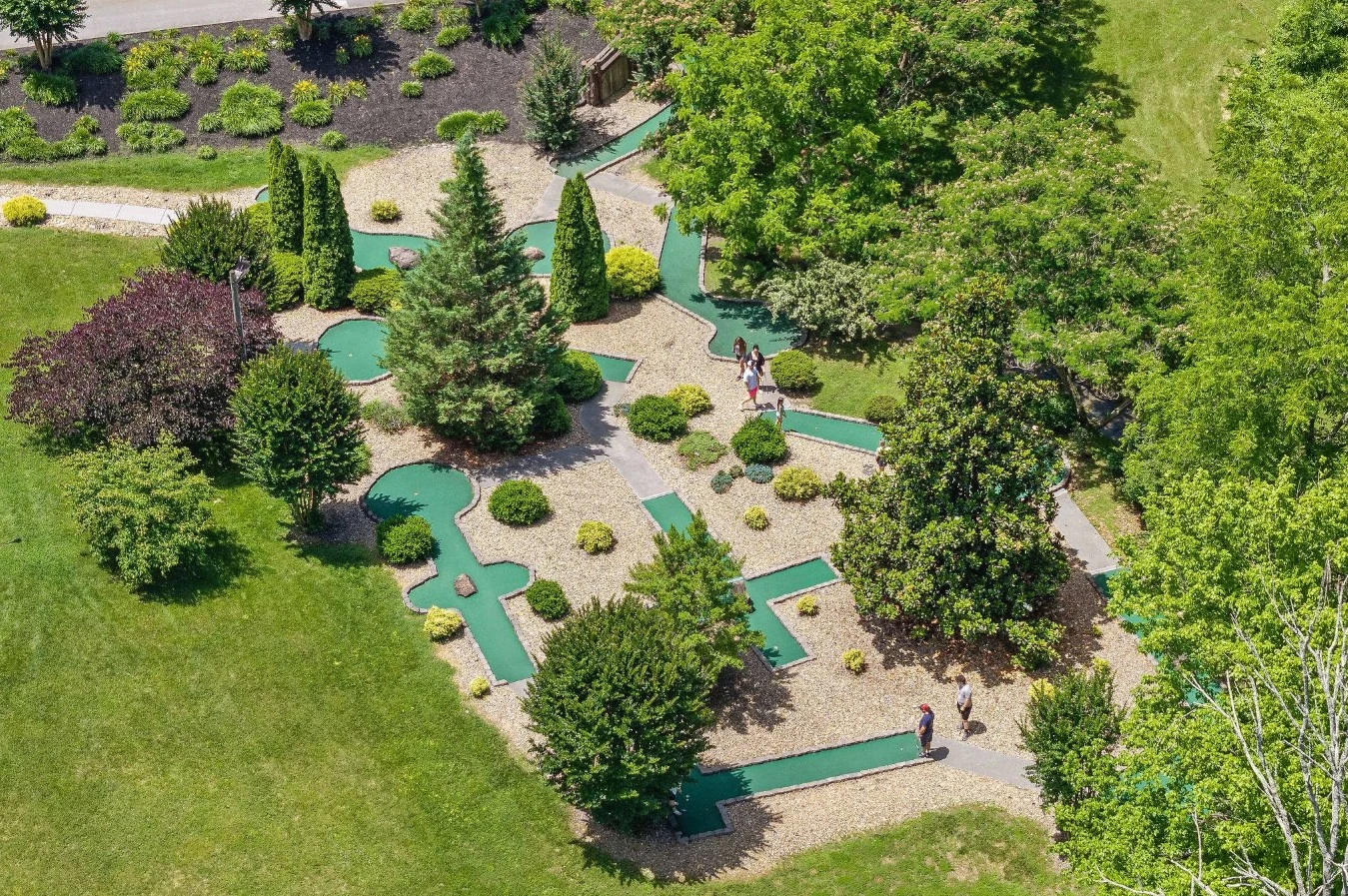 Whiskey on Rocky Top