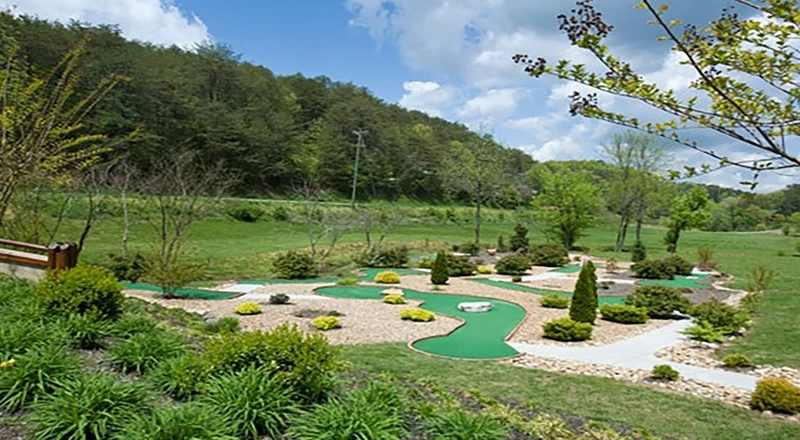 Whiskey on Rocky Top