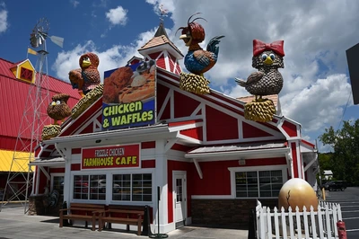 Frizzle Chicken Cafe is one of the top family friendly restaurants in Pigeon Forge