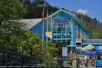 ripleys aquarium is near our gatlinburg cabins with home theaters