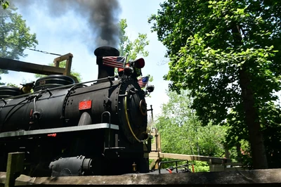 our cabins near dollywood are just minutes from rides like the dollywood express