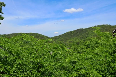 MARGARITA MOUNTAIN