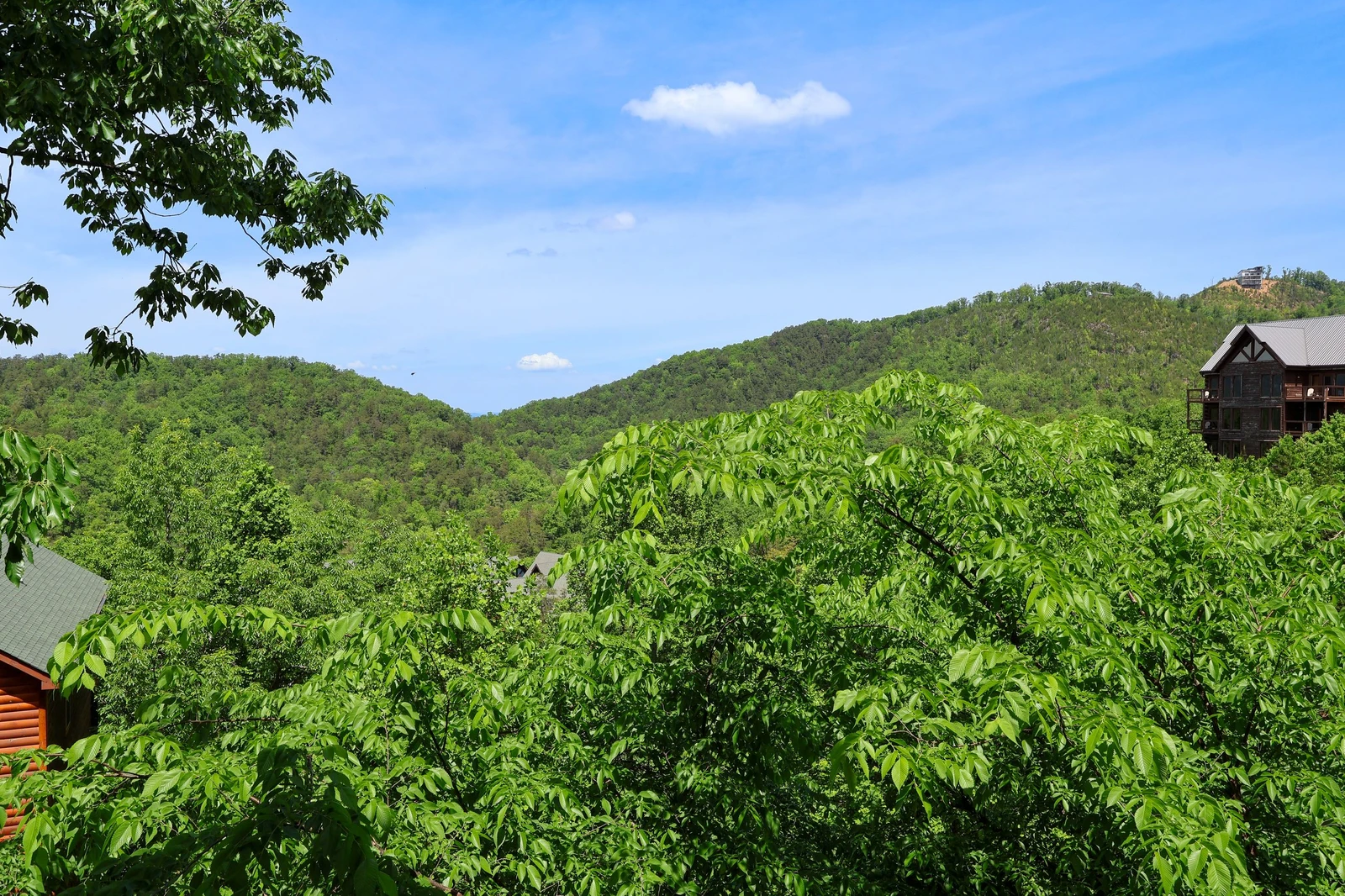 MARGARITA MOUNTAIN