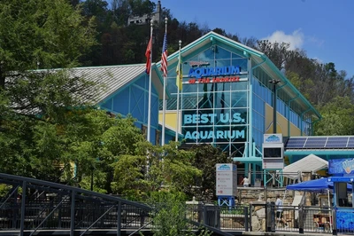 Ripley's Aquarium is a must on your Gatlinburg TN trip