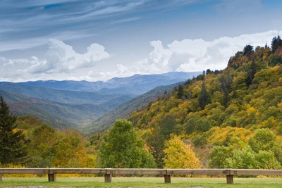 Newfound Gap Road is a must on your Gatlinburg TN trip