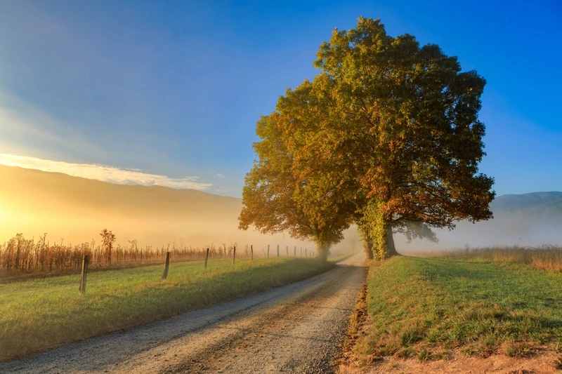 cades cove is one of the best free things to do in Gatlinburg