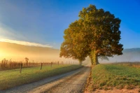 cades cove is one of the best free things to do in Gatlinburg