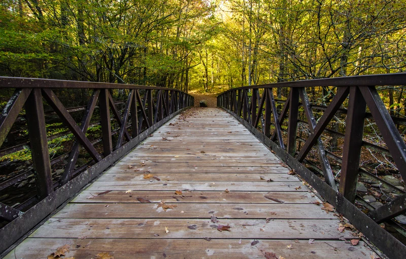 Gatlinburg Trail is one of the easy hiking trails in the Smoky Mountains