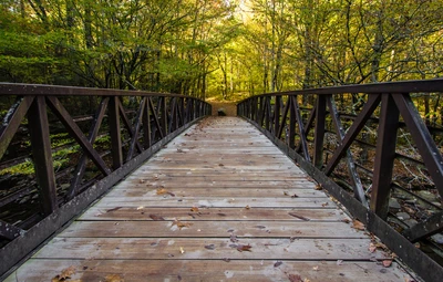 Gatlinburg Trail is one of the easy hiking trails in the Smoky Mountains