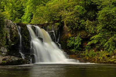 abrams falls in great smoky mountains national park is one of the top attractions in the Smoky Mountains