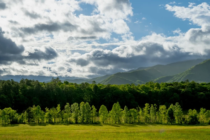 great smoky mountains national park is one of the top attractions in the Smoky Mountains