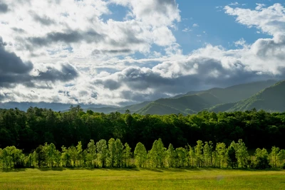 great smoky mountains national park is one of the top attractions in the Smoky Mountains