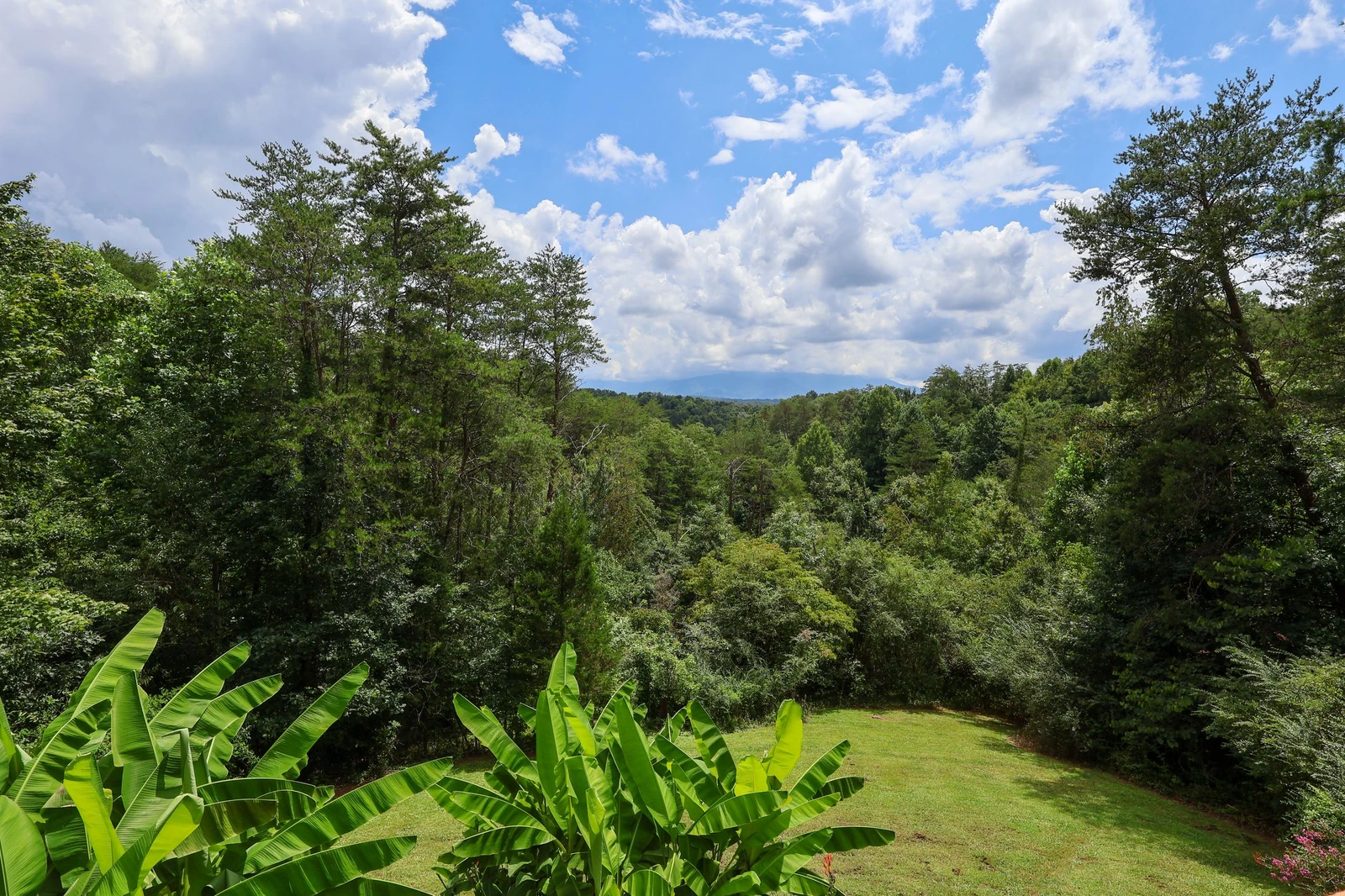 HEAVENS VIEW