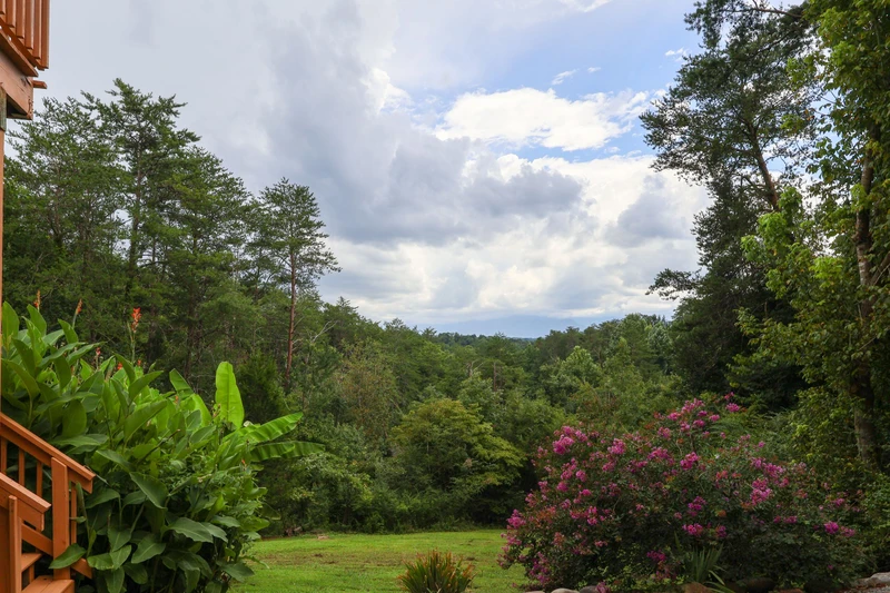 HEAVENS VIEW
