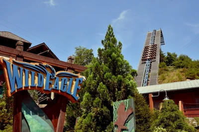 riding Wild Eagle is one of the best things to do in Dollywood