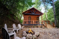 Smokies cabin with fire pit