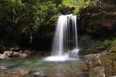 grotto falls is one of the best hikes in the Smokies