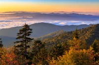 the view from kuwohi which is one of the best hikes in the Smokies