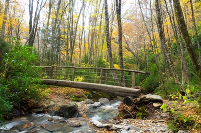 alum cave trail is one of the best hikes in the Smokies