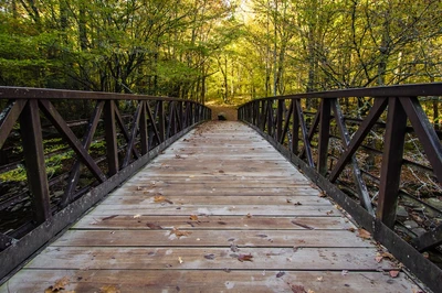 gatlinburg trail is one of the best hikes in the Smokies