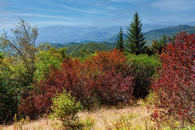 andrews bald is one of the best hikes in the Smokies